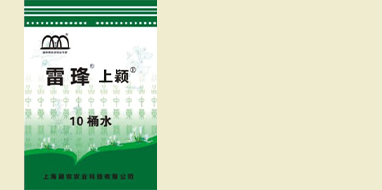 鼎亞展覽服務